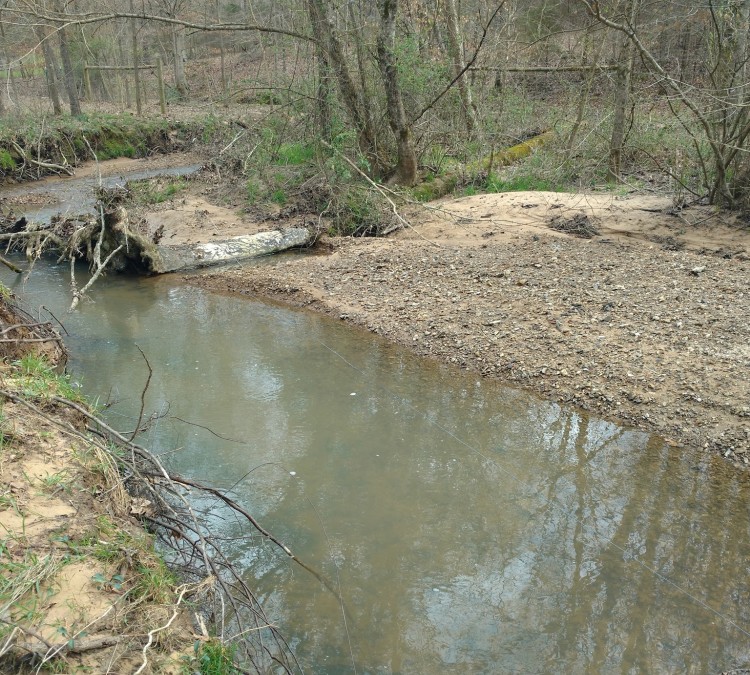Dan Holman Creek (Sparta,&nbspTN)
